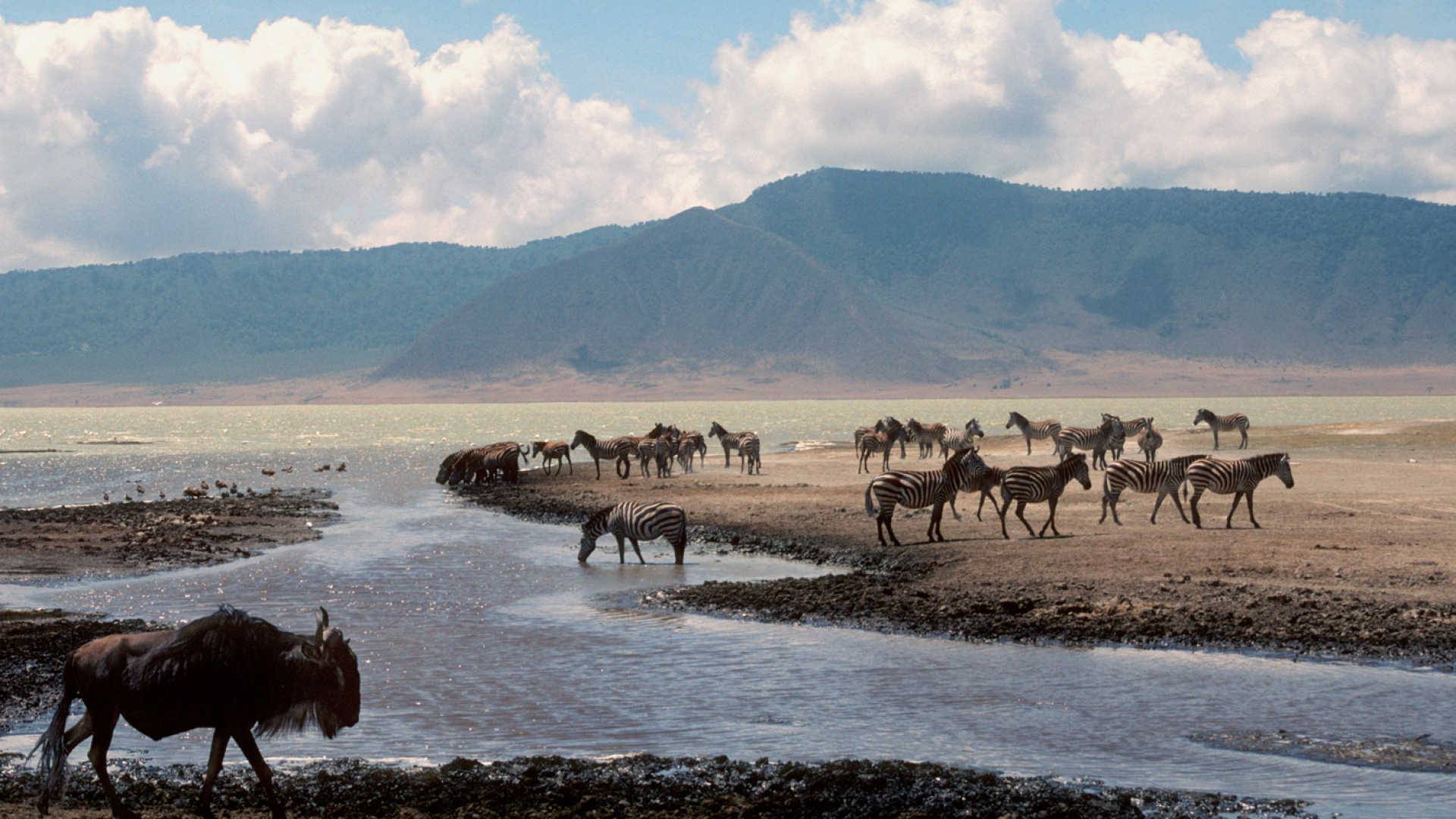 Serengeti & Ngorongoro Safari