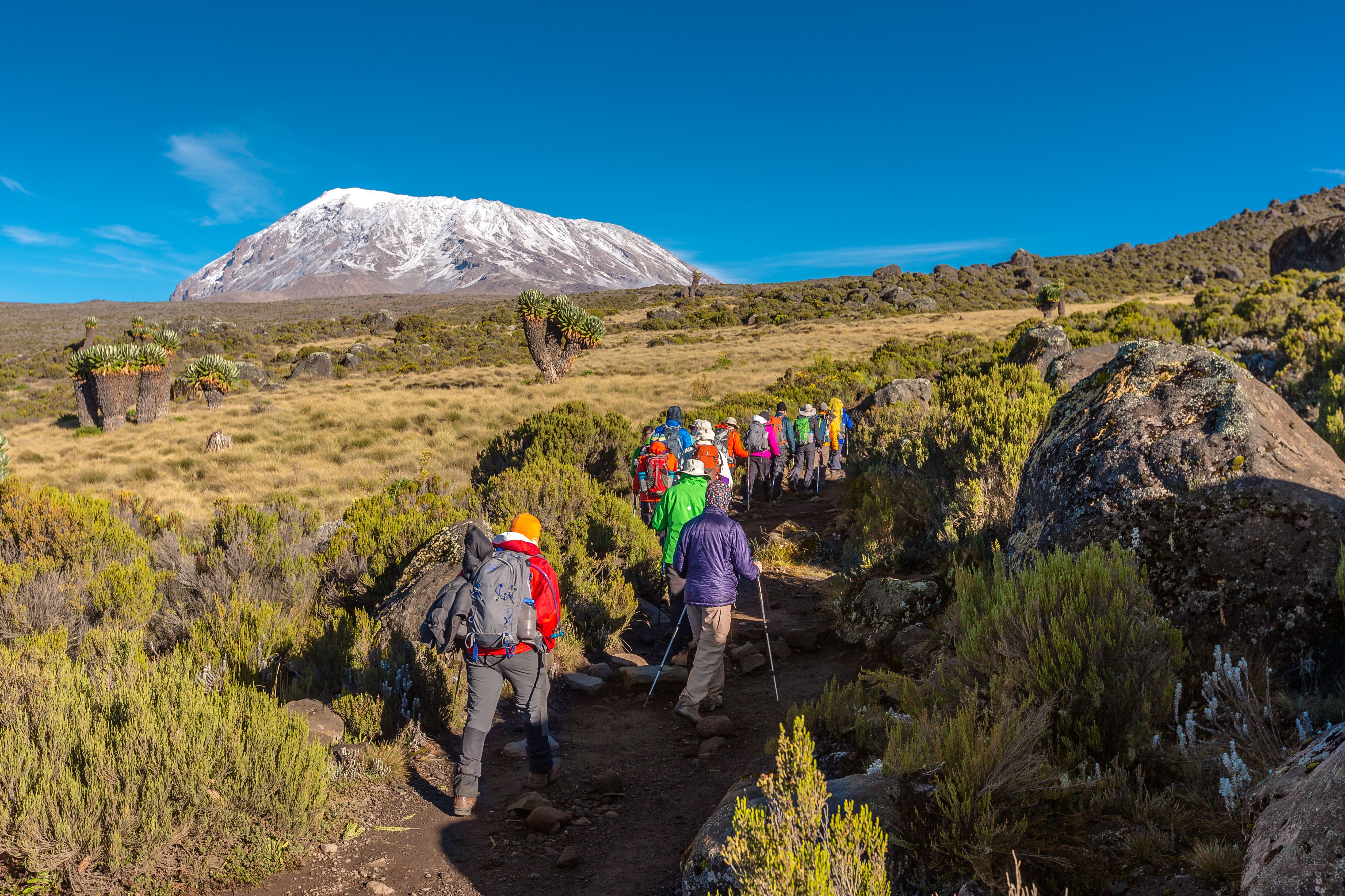 Kilimanjaro Trek — Machame Route