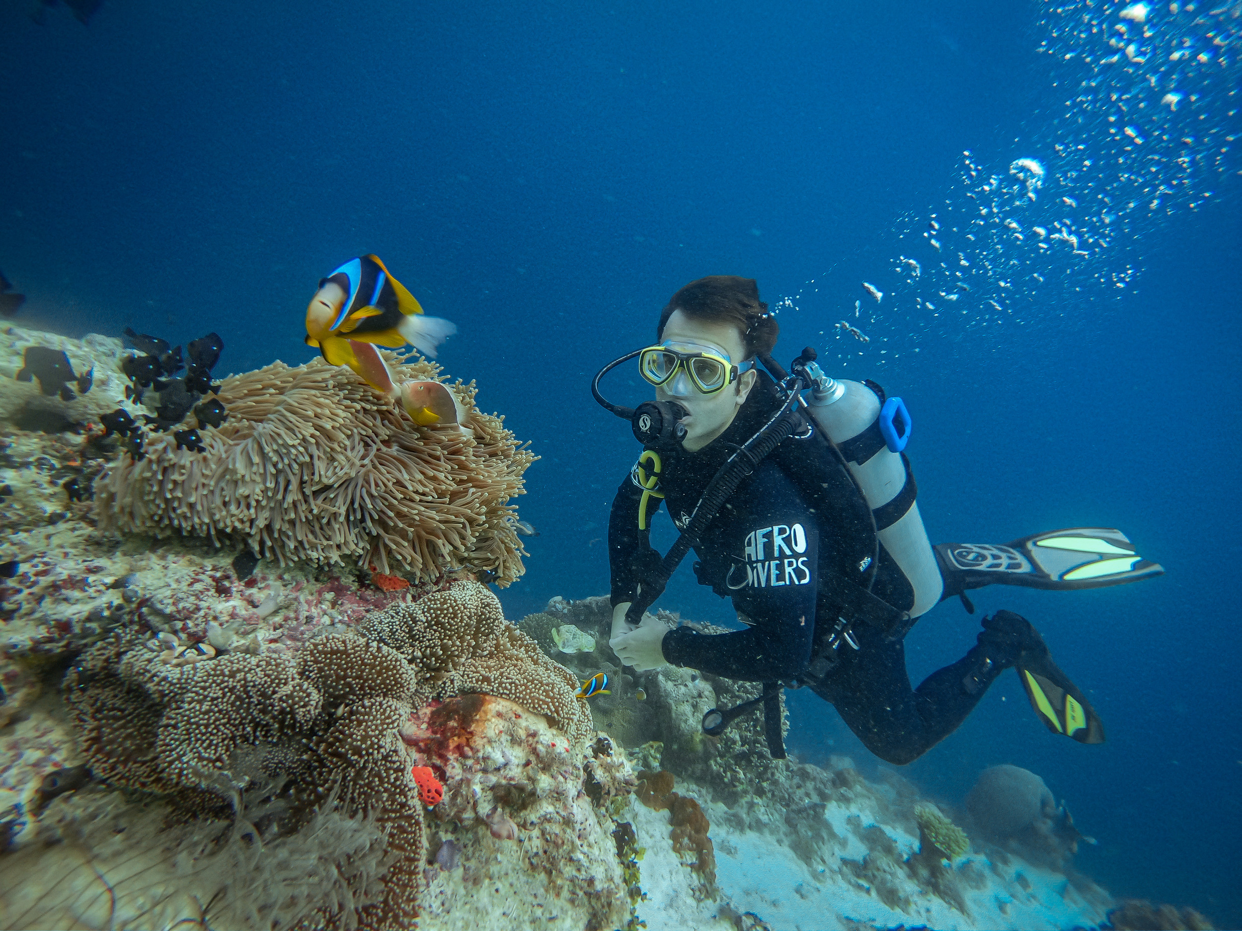 Pemba Island Diving Expedition