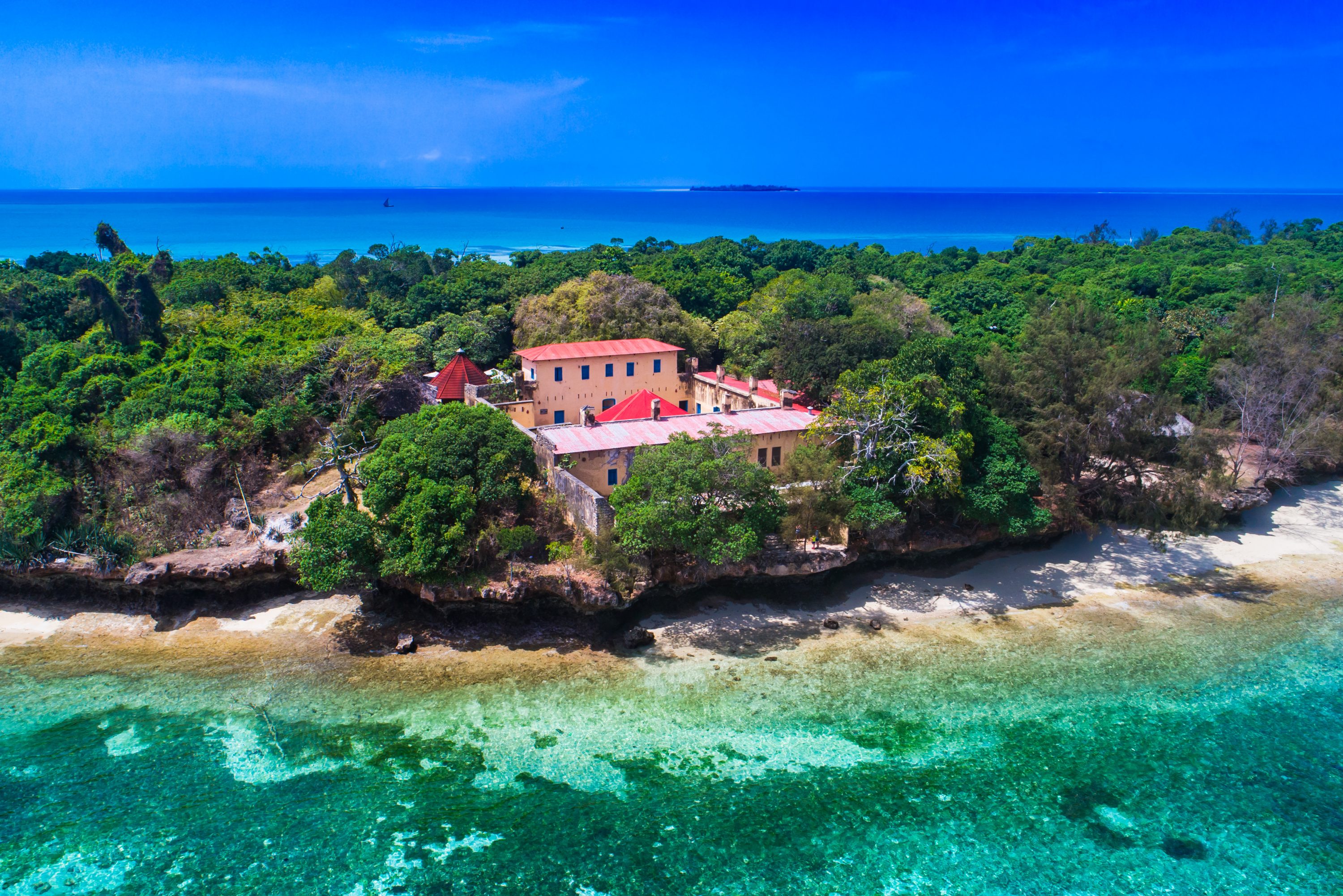 Prison Island & Dolphin Swim